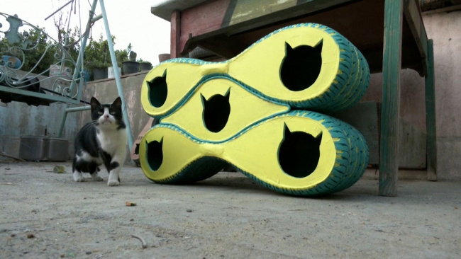 Fotoğraf: TRT Haber